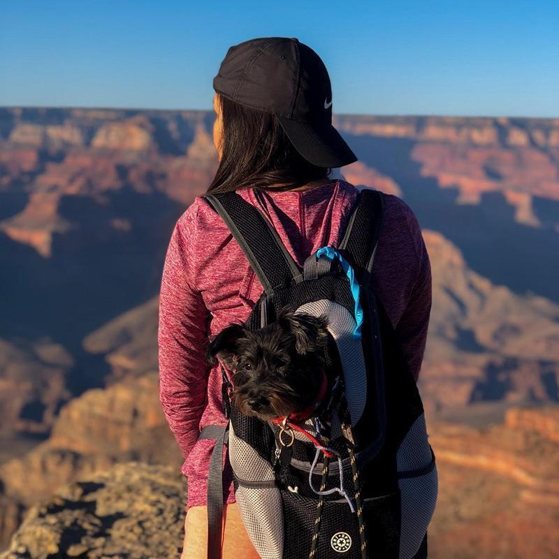 Backpack for Dogs