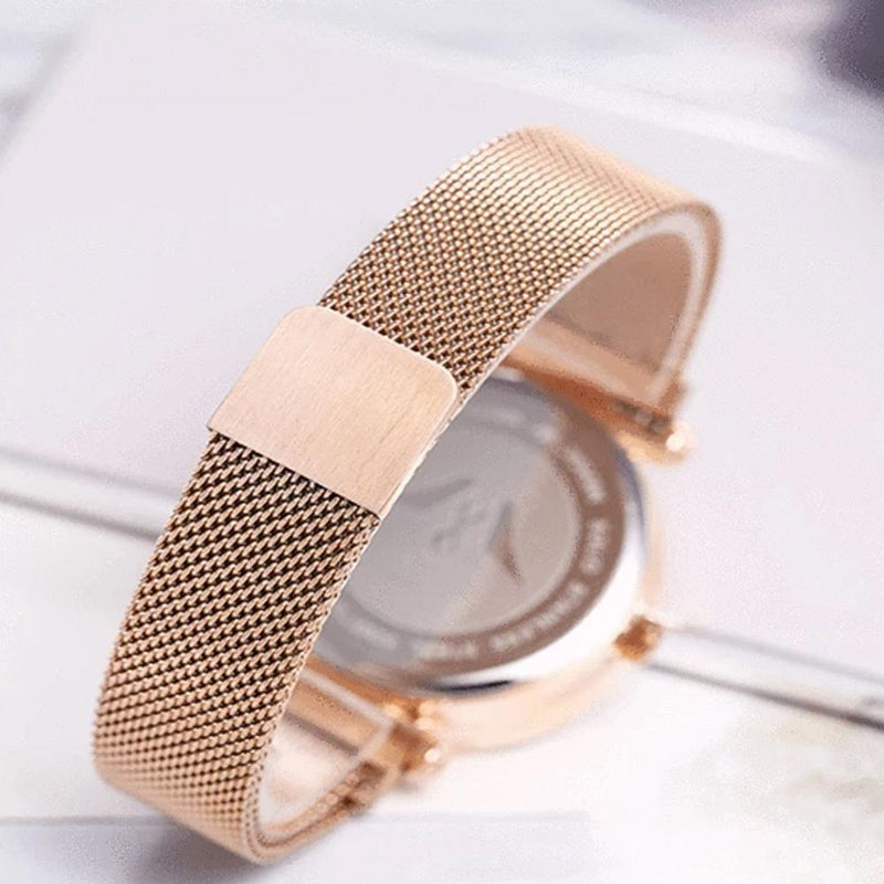 Magnetic Absorption Quartz Watch